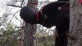 Bound and gagged Latina in pantyhose gets rough outdoor sex