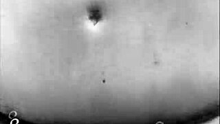 why does my wife keep showing off on brazil’s beaches? is she teasing everyone out there or just me?