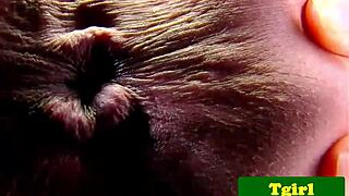 oriental shemale with braces strokes herself in close-up solo action.