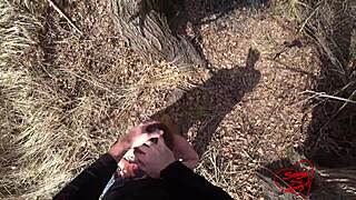 Sex in the park from a first person view outdoor