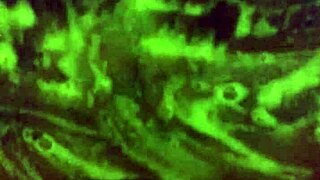 Mzkiwi's heart races trying anal first time in shower