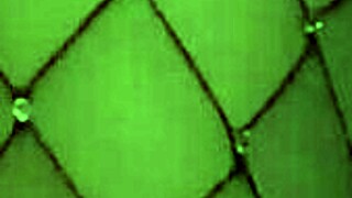 Trans Woman Keightania Lagurley Plays with Huge Cock Until Cum