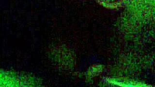 I got an amazin blowjob from Sashaa Legend