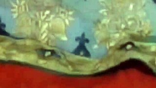 Intense Desire to Fuck Girlfriend in Indian Home Video