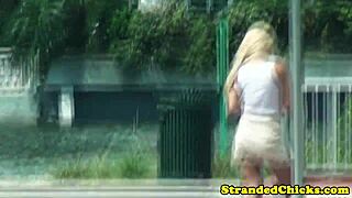 Amateur hitchhiker gives great blow job to the driver