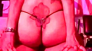 Qadesh Amateur Riding In The Gym 😏