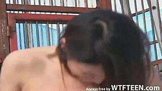 Outdoor sex with stunning Asian hottie in doggy style