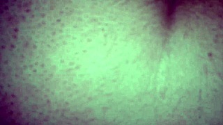 My heart races seeing this Mexican amateur video come alive.