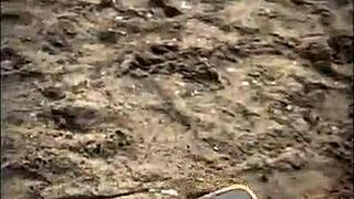 Petite brunette gets a big cock on the beach