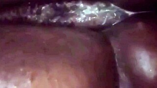 comendo buceta e cu da viúva no velório