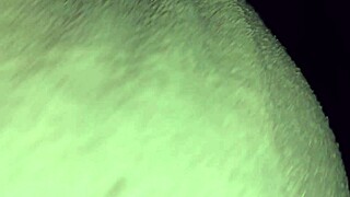 Asian Chubby Pregnant Woman Bent Over for Hotel Sex