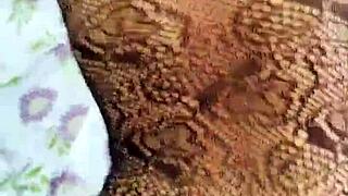 best 2024 cumshot collection of real italian amateurs riding hard