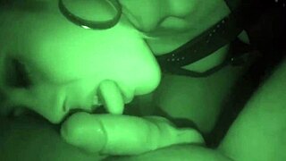 Homemade blowjob from thai ladyboy shemale in pov sucking amateurs. Intense asian homemade scene with thai ladyboy shemale blowjob pov amateurs sucking.