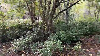 Outdoor forest rough sex with spanking for skinny teen 18+ girl