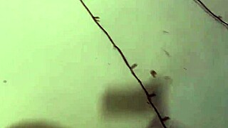 wild redhead teen 18+ bangs with pro-level skills in homemade clip