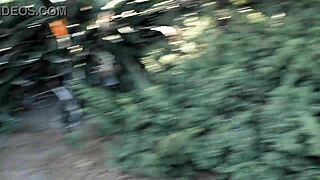 hey, did i just get caught masturbating in balboa park san diego?