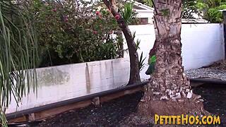 The petite teen shoves dick in her mouth then rides it hard