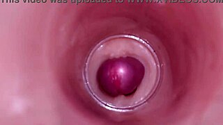 Female Insemination Captured by Internal Camera in Deep Ejaculation