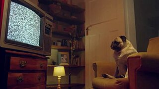 Fantasie And Emily Pink Engage In Wild Lesbian Action