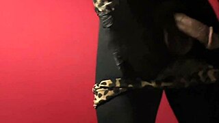 Exhibition Show with Strip Tease and Sensual Teasing Performance