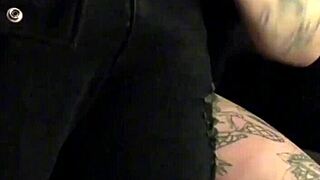 panthera s3 series with diverse babes in lingerie