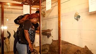 Two Tourists Meet In Park To Explore New Places And Create Lasting Memories Together