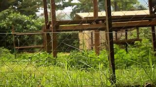 Two Tourists Meet In Park To Explore New Places And Create Lasting Memories Together