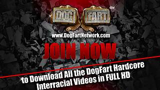 Aletta Ocean Does Anal in Laundromat