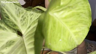 big natural tit wiggle from tall latina couple