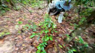 Thai Girl Picking Mushrooms in the Forest Secretly