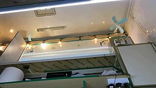 the boss is playing with his sexy shop assistant pussy while she talks to the customer