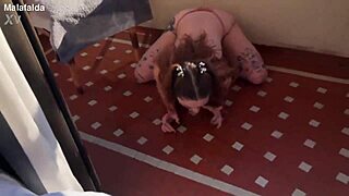 malafalda puking on chris viper