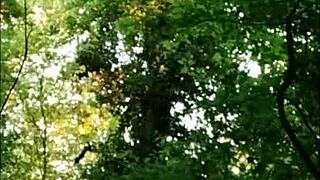 he said, 'bend over, slut' in the forest