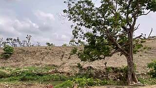 An Adventure In The Forest