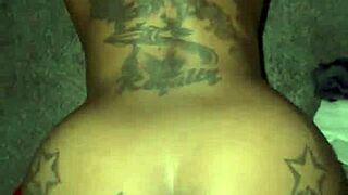 Creampie Backshots Compilation