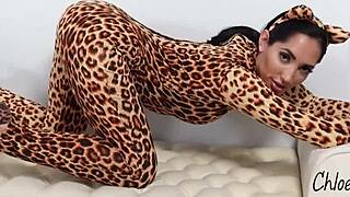 kitty desires you to play with her pussy