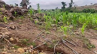 we went to the farm to fuck part 2