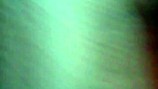 Dayzee enjoys a playful activity again for fun