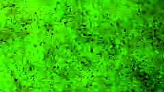 erika riding me in bent over position