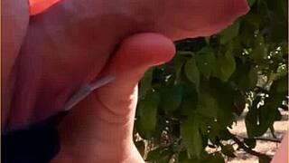 Hot Wife Gives Amazing Public Blowjob!