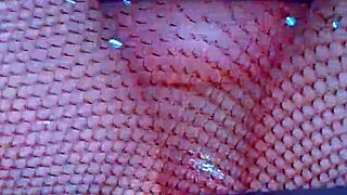 Puffy Pink Pussies in Fishnets Crave BBC Hardcore Action