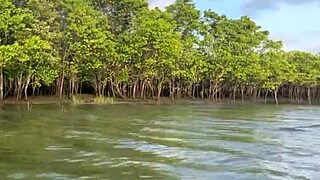 Brazilian latina wife rides boat in bikini