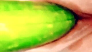 Desibhabhi Sex: Village Wife Fucking with Cucumber