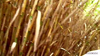 Amateur hussy rides cock outdoors then takes messy cumshot on her face!