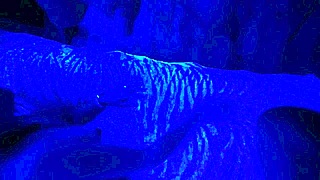 submissive milf slurps cock closeup then gulps every drop