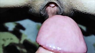 my wife and i explore the swinger lifestyle together