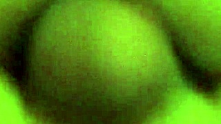 melissa and robert's second movie together