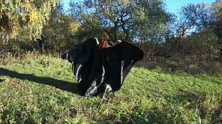 Dance Of Leylakh 2 In Bikini And Lingerie